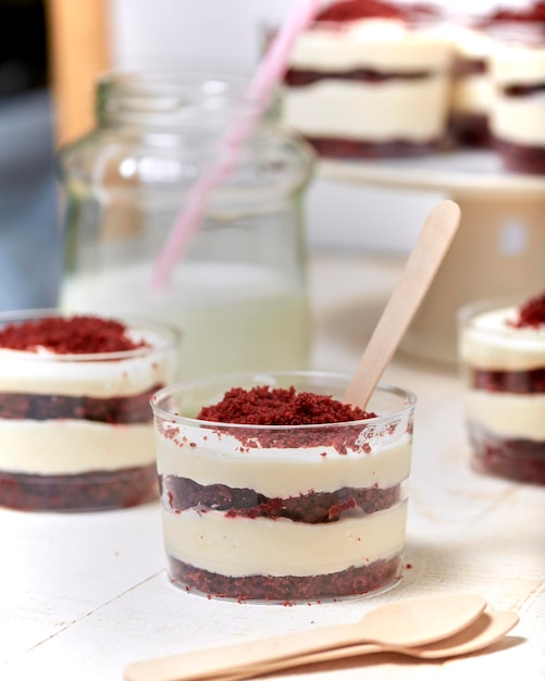 Porzione di delizioso dessert al tiramisù