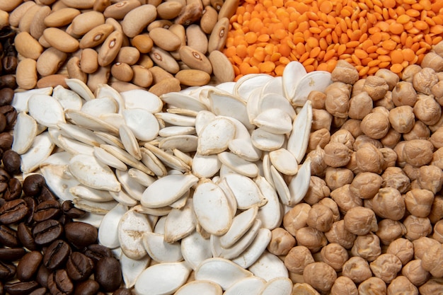 Porzioni di diverse varietà di cereali e semi commestibili secchi. Esempi di fonti di fibre