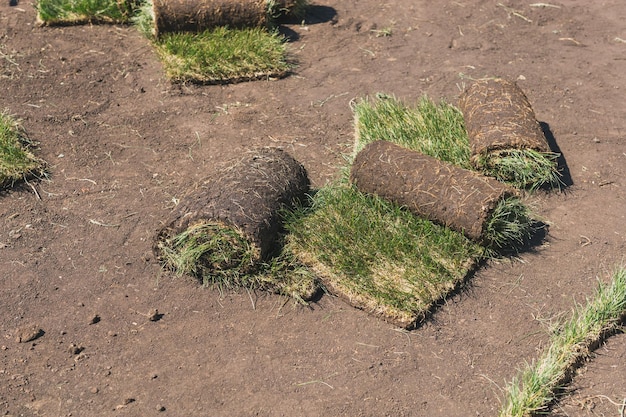 Posa di zolle per il nuovo concetto di posa di tappeti erbosi da giardino