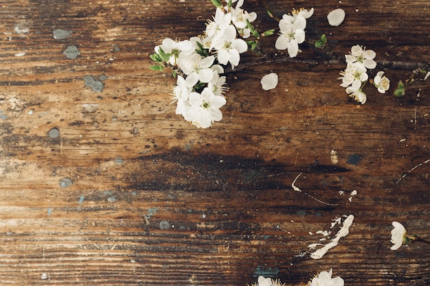 Posa piatta rustica primaverile Ramo di ciliegio in fiore su sfondo rustico in legno Fiori di primavera carta da parati rurale Semplice vita di campagna Ciao primavera Spazio per il testo