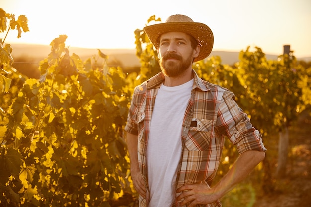 Positivo fiducioso adulto maschio barbuto agricoltore in camicia a scacchi e cappello di paglia che guarda l'obbiettivo mentre in piedi nel mezzo del vigneto in estate giorno