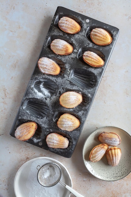 Posizionare piatto di una lattina di torte di madeleine appena cotte alcune su un piatto e un setaccio con zucchero di ghiaccio su uno sfondo neutro