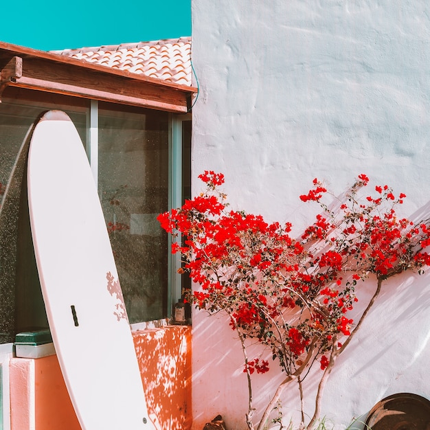 Posizione del surf. Canarie. Concetto di viaggio