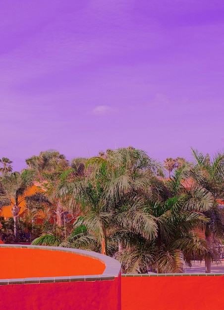 Posizione dell'hotel tropicale Palma e casa arancione Isola delle Canarie Elegante carta da parati per le vacanze di viaggio