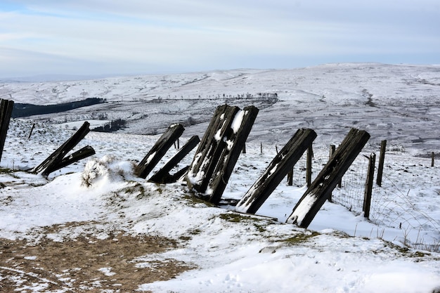 Postelli di legno su un campo coperto di neve