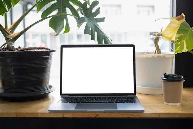 Posto di lavoro confortevole con pianta d'appartamento per computer portatile e tazza di caffè sul tavolo di legno