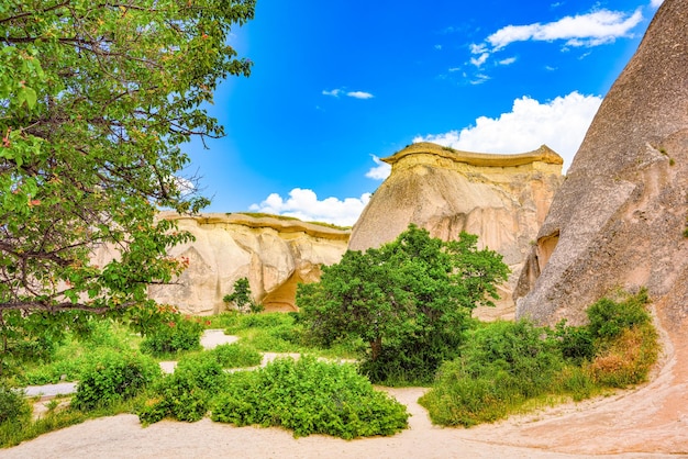 Posto meraviglioso in CappadociaFairy Chimneys Pasabag ValleyTurkiye