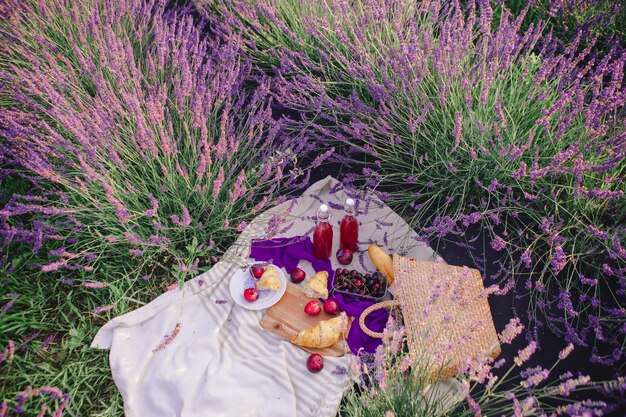 Posto romantico per picnic nello spazio della copia del campo di lavanda