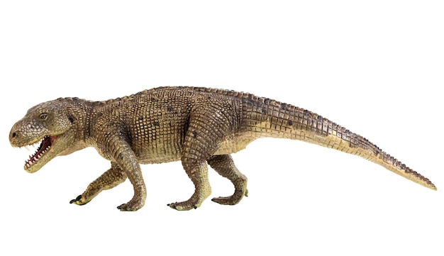 Postosuchus Dinosaur su sfondo isolato