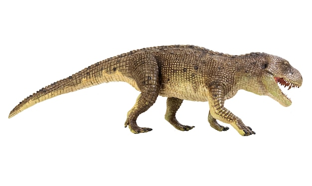 Postosuchus Dinosaur su sfondo isolato