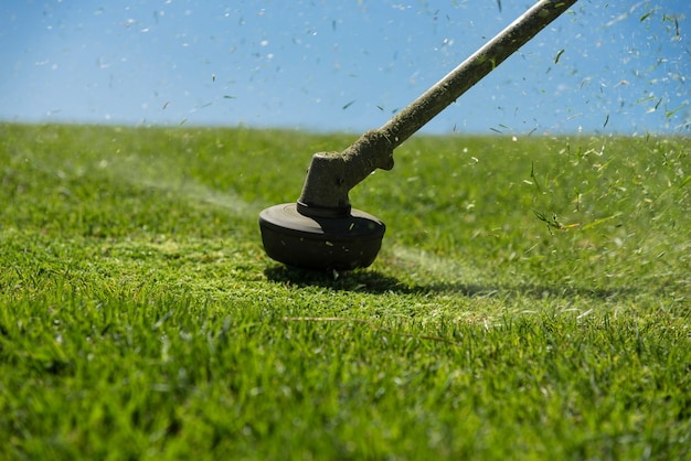 Potare il giardiniere dell'erba tagliando nel giardino con il decespugliatore