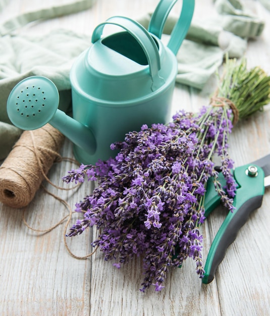 Potatura stagionale della lavanda