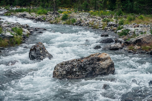 Potente fiume di montagna.