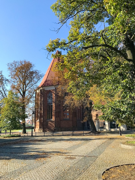 Poznan Polonia Tumski Ostrov, Salterio, Chiesa cattolica della Beata Vergine Maria.