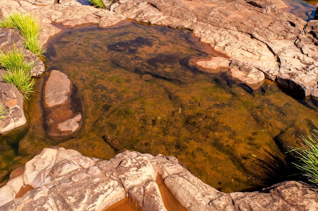Pozza d'acqua con vegetazione autoctona a Salto do YucumaBrasile