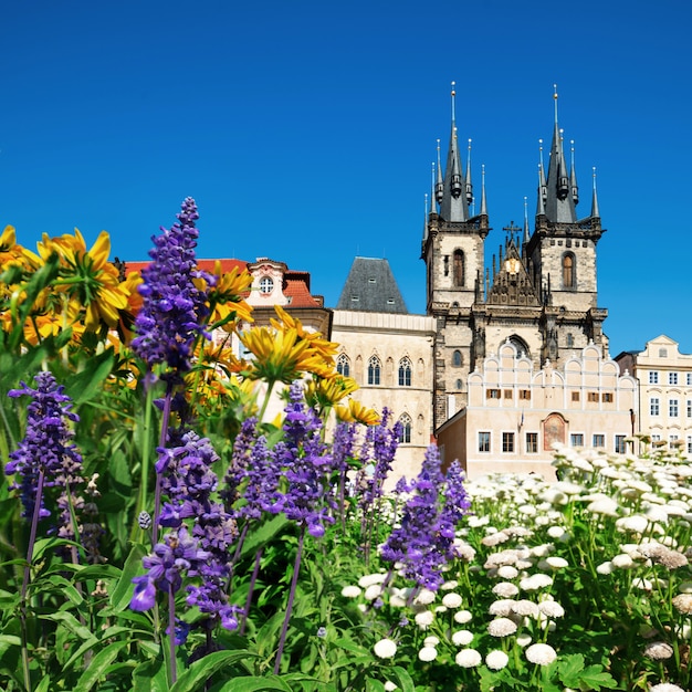 Praga, Chiesa di Maria prima di Tyn in fiori