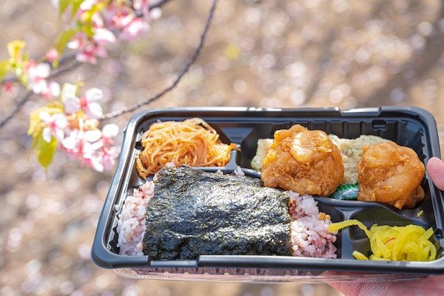 Pranzo al sacco sotto l'albero di ciliegio sakura