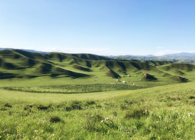 Prati con vista sulle dolci colline a distanza.