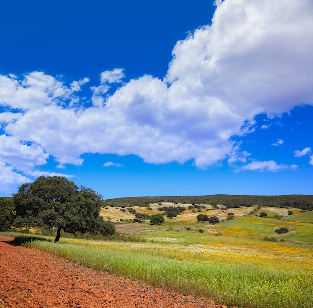 Prati di Dehesa di via de la Plata in Spagna