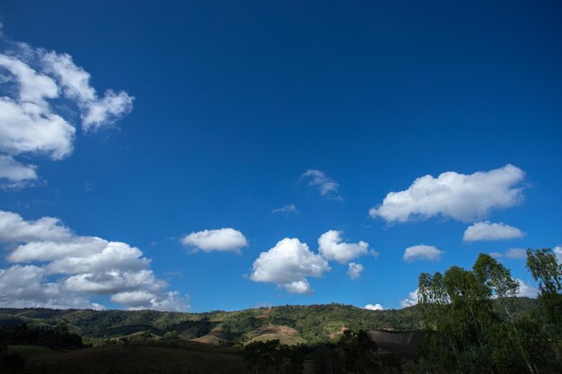 Prati verdi con sfondo azzurro del cielo e delle nuvole