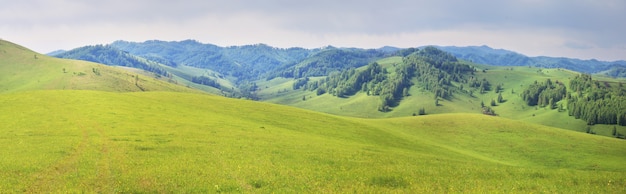 Prati verdi e pendii montani, estate, natura panoramica, Altai