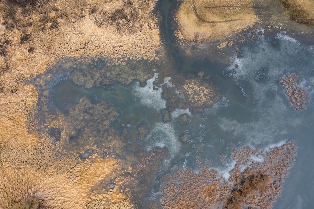 Prato allagato con acqua in piedi nell'erba direttamente dall'alto nella zona umida