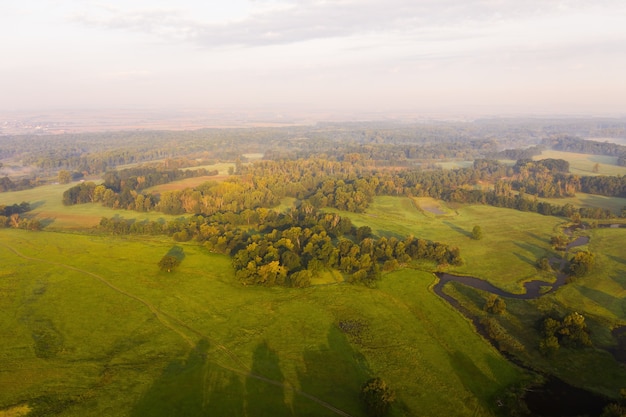 Prato con erba verde nella scena della natura estiva.