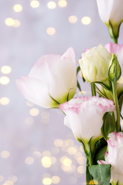 Prato dei fiori di eustoma con bokeh leggero. Vuoto per cartoline