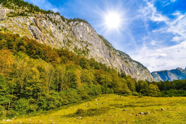 Prato di erba in Koenigssee Konigsee Parco Nazionale di Berchtesgaden Baviera Germania