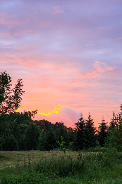 Prato di erba nella luce del tramonto Vista panoramica della natura Sera d'estate in campagna