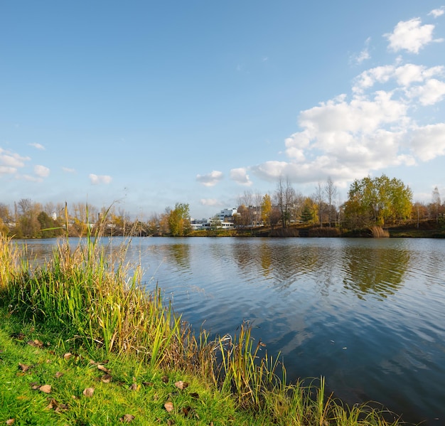 Prato e lago nel parco