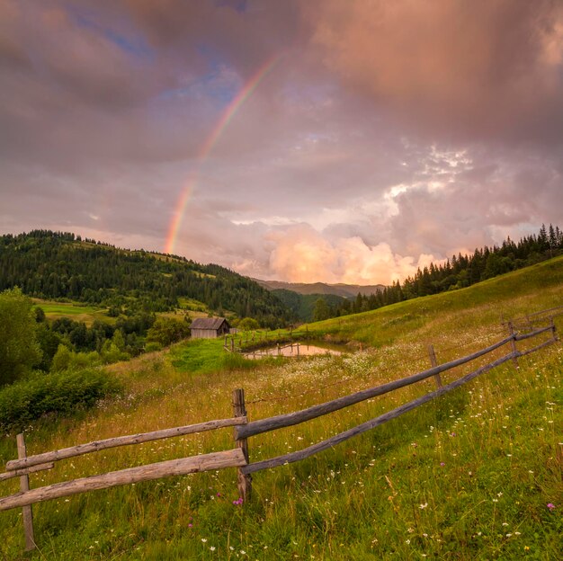 Prato fiorito in montagna sullo sfondo del cielo nuvoloso e arcobaleno