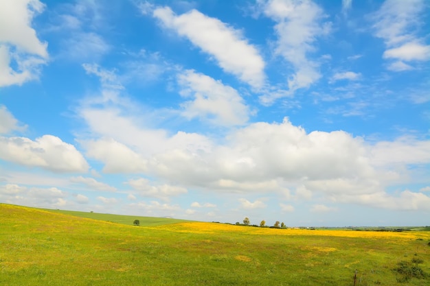 Prato giallo e verde sotto un cielo nuvoloso in una giornata di primavera