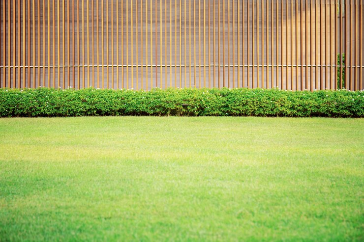 Prato in giardino.