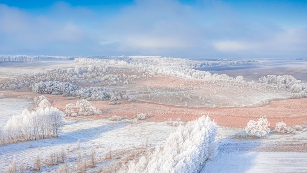 Prato innevato con strisce di foresta e campi agricoli vuoti. Paesaggio invernale.