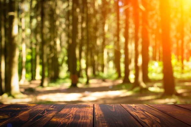 Prato soleggiato di estate del fondo della tavola di legno della foresta con il fondo degli alberi della foresta dell'erba verde