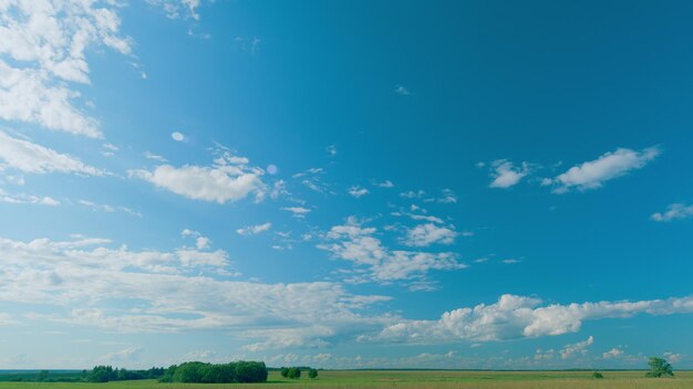 Prato verde con bellissime nuvole del cielo paesaggio naturale sotto un cielo blu con nuvole bianche