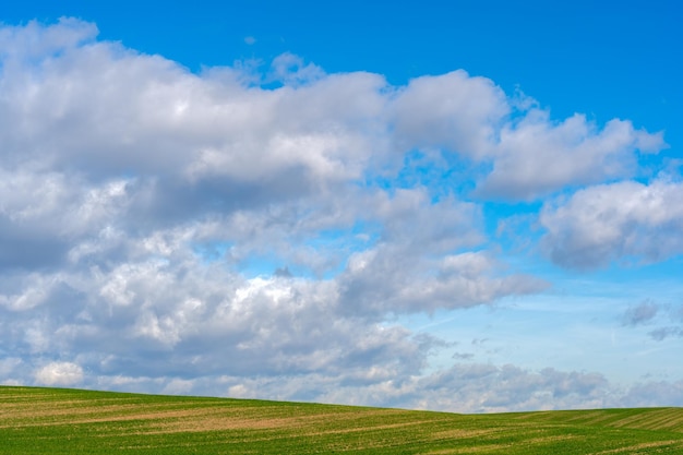 Prato verde con cielo blu coperto di nuvole bianche