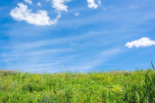 Prato verde con erba lussureggiante e cielo blu con nuvole