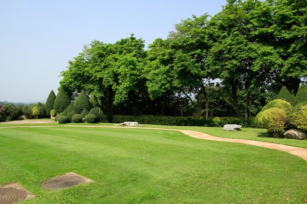 Prato verde con paesaggio giardino