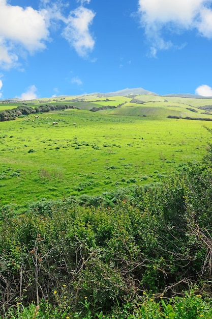 Prato verde e colline sotto un cielo blu