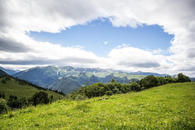 Prato verde e paesaggio di montagna Estate in montagna