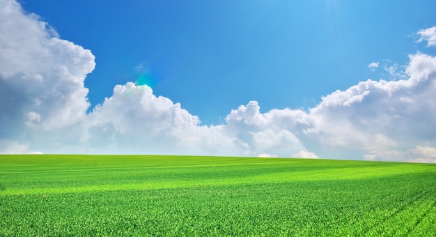 prato verde primaverile e cielo azzurro