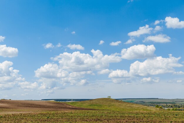 Prato verde sotto il cielo azzurro con nuvole. Bellissima natura, paesaggio.