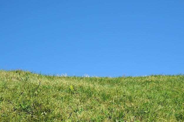 Prato verde sotto un chiaro cielo blu