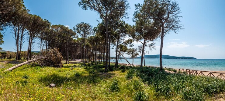 Prato vicino alla spiaggia di Mugoni