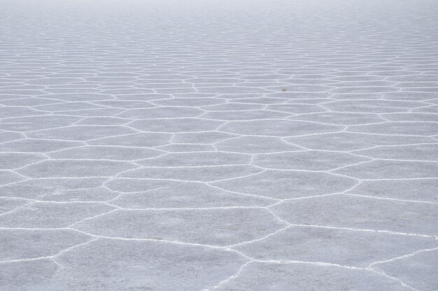 Prelievo di sale essiccato sulla superficie del lago Salar de Uyuni Bolivia