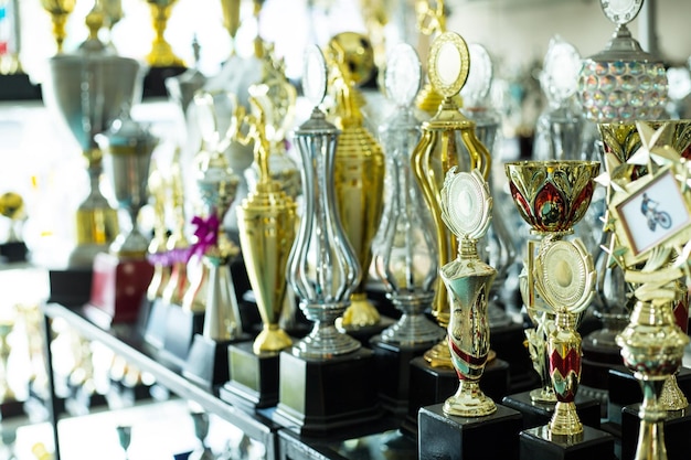Premi trofeo per la leadership del campione nel torneo