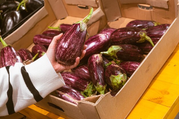 prendere a mano le melanzane dallo spazio di copia dello scaffale del negozio di alimentari