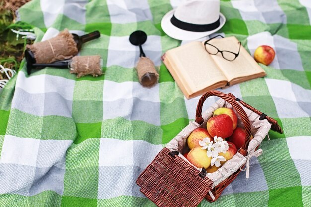 Prenota e cestino con cibo su picnic plaid nel parco primaverile
